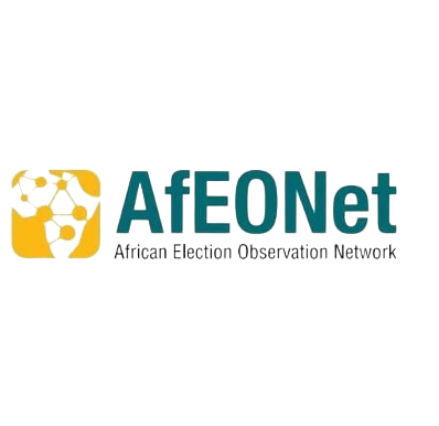 African Election Observers Network